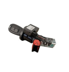 Neiman DACIA SPRING Photo n°1