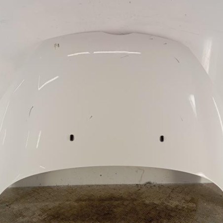 Capot FORD FIESTA 6 Photo n°1