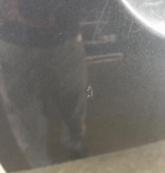 Porte avant droit DACIA SANDERO 2