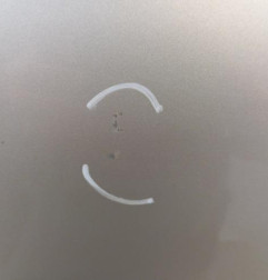 Porte arriere gauche RENAULT CLIO 3 Photo n°3