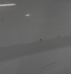 Porte avant droit FORD FIESTA 6 Photo n°5