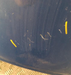 Capot CITROEN C8 Photo n°4