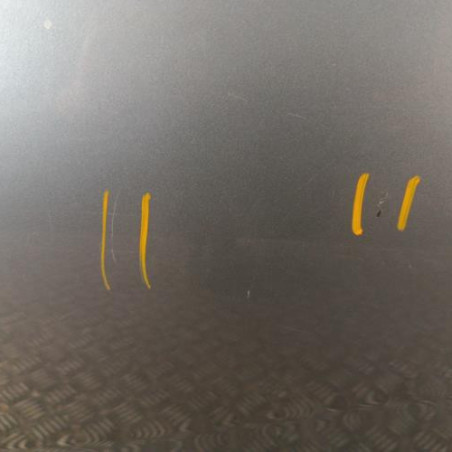 Porte arriere gauche BMW X1 E84