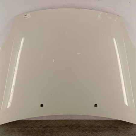Capot FIAT BRAVO 2 Photo n°1