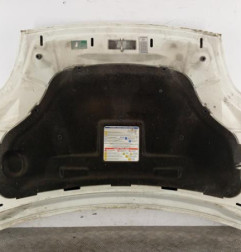 Capot FIAT BRAVO 2 Photo n°4