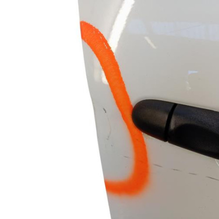 Porte avant droit RENAULT CLIO 4