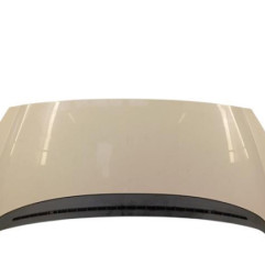 Capot PEUGEOT 1007 Photo n°1