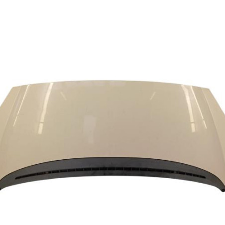 Capot PEUGEOT 1007 Photo n°1