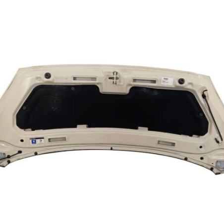 Capot PEUGEOT 1007