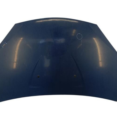 Capot DACIA SANDERO 1 Photo n°1