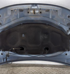 Capot DACIA DUSTER 1 Photo n°3