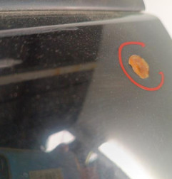 Porte arriere gauche KIA RIO 3 Photo n°4