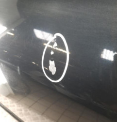 Porte avant droit PEUGEOT 307