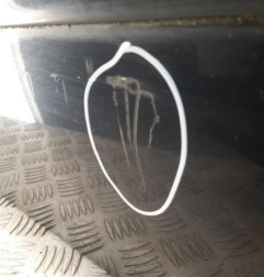 Porte avant droit PEUGEOT 307 Photo n°3