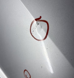 Porte arriere gauche SEAT IBIZA 4