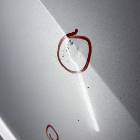 Porte arriere gauche SEAT IBIZA 4