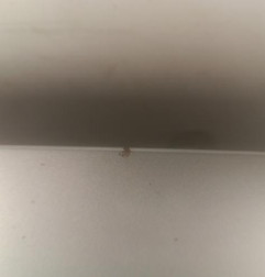 Capot VOLKSWAGEN EOS