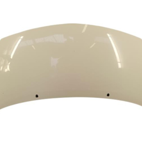 Capot RENAULT TWINGO 2 Photo n°1