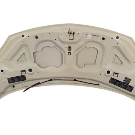 Capot RENAULT TWINGO 2