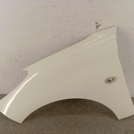 Aile avant gauche PEUGEOT 206+ Photo n°1