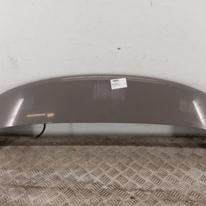 Becquet CITROEN C4 CACTUS