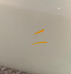 Porte arriere gauche FIAT GRANDE PUNTO Photo n°3