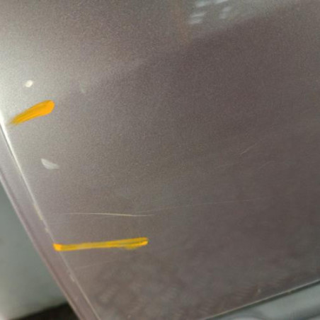 Porte arriere gauche RENAULT MEGANE 2