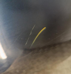 Pare choc arriere RENAULT MEGANE 3 Photo n°6