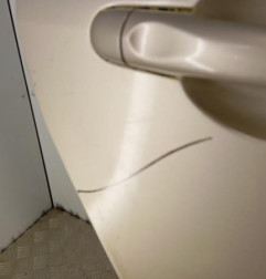 Porte arriere droit RENAULT GRAND SCENIC 3