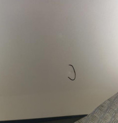 Porte arriere gauche RENAULT GRAND SCENIC 3