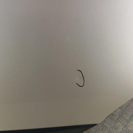 Porte arriere gauche RENAULT GRAND SCENIC 3