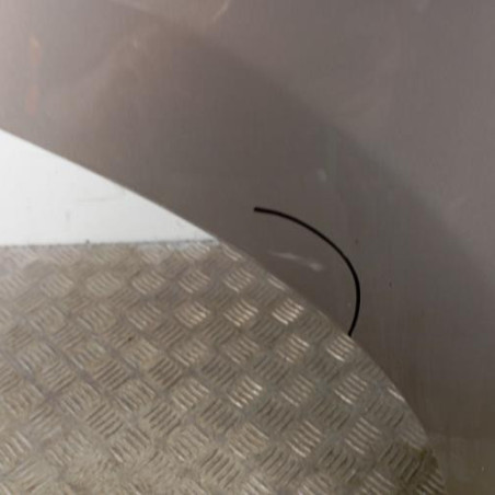 Porte arriere droit CITROEN C3 2