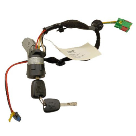 Neiman PEUGEOT 307 Photo n°1