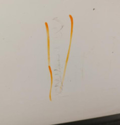 Porte avant droit PEUGEOT BOXER 3