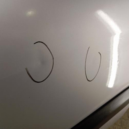 Porte arriere gauche DACIA LOGAN 1