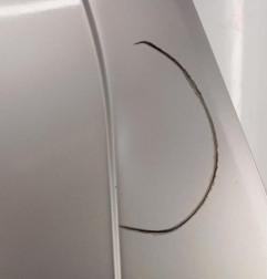 Porte arriere gauche DACIA LOGAN 1 Photo n°5