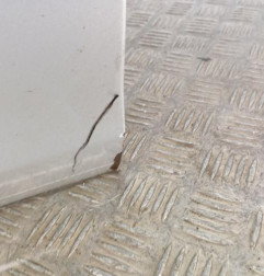 Porte avant droit OPEL ASTRA J Photo n°3