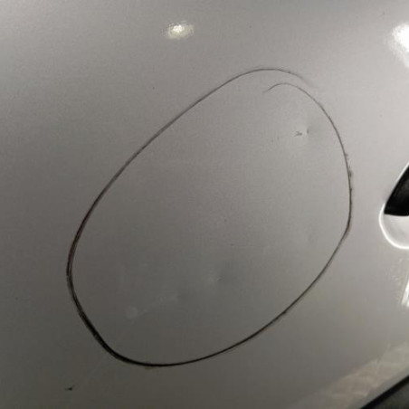 Porte avant gauche DACIA LOGAN 1