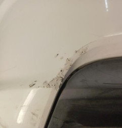 Pare choc arriere CITROEN C4 2 Photo n°6