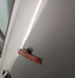 Porte arriere droit RENAULT CLIO 3 Photo n°3