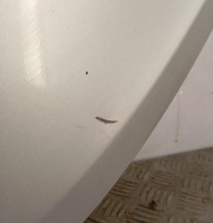 Porte arriere droit RENAULT CLIO 3 Photo n°4