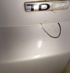 Malle/Hayon arriere FORD S-MAX 1