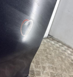 Porte avant gauche DACIA LOGAN MCV 2