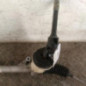 Cremaillere assistee RENAULT CLIO 3