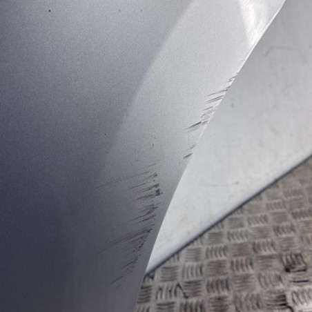 Porte arriere gauche CITROEN C3 2