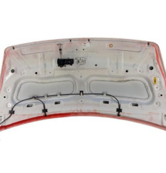 Capot RENAULT MASTER 3 Photo n°4