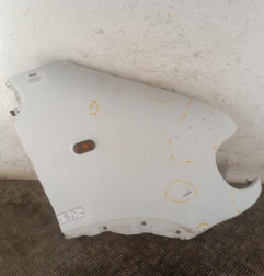 Aile avant droit RENAULT MASTER 2 Photo n°1