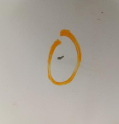 Aile avant droit RENAULT MASTER 2