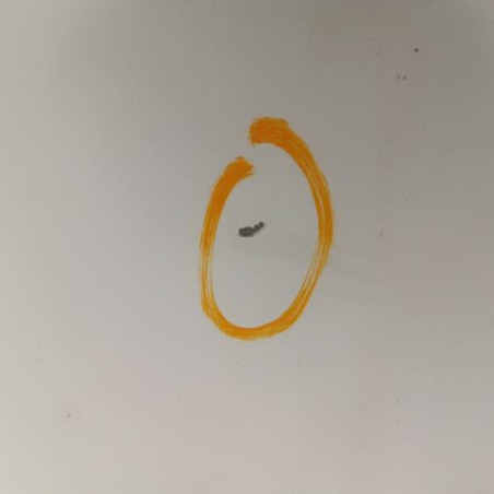 Aile avant droit RENAULT MASTER 2