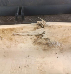 Pare choc avant RENAULT MASTER 2 Photo n°5